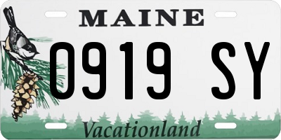 ME license plate 0919SY