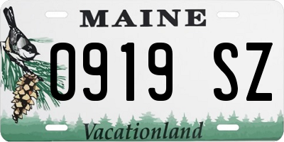 ME license plate 0919SZ