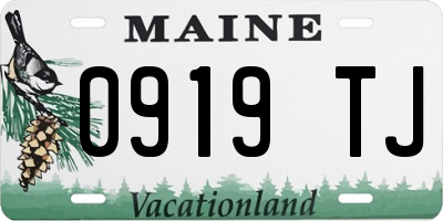ME license plate 0919TJ