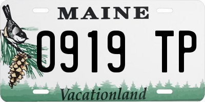 ME license plate 0919TP