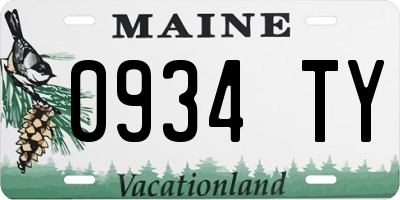 ME license plate 0934TY