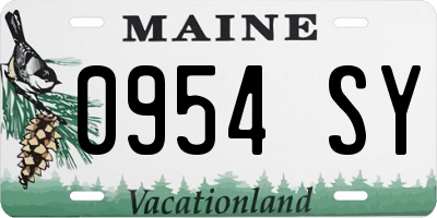 ME license plate 0954SY