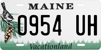 ME license plate 0954UH