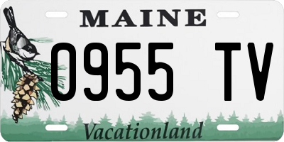 ME license plate 0955TV