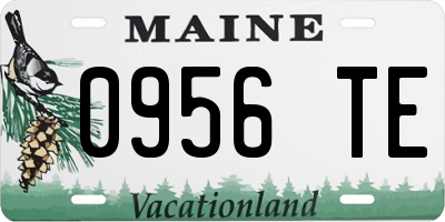 ME license plate 0956TE
