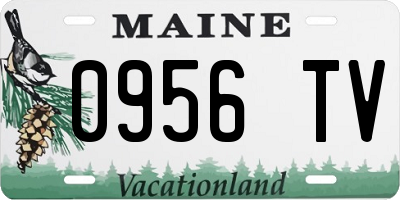 ME license plate 0956TV