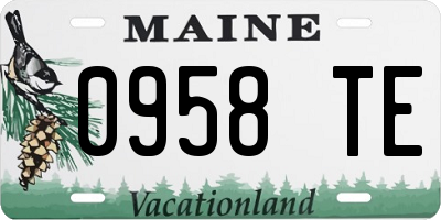 ME license plate 0958TE