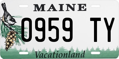ME license plate 0959TY
