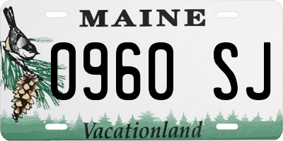 ME license plate 0960SJ