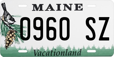 ME license plate 0960SZ