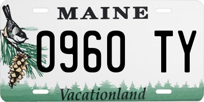 ME license plate 0960TY