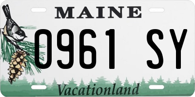 ME license plate 0961SY