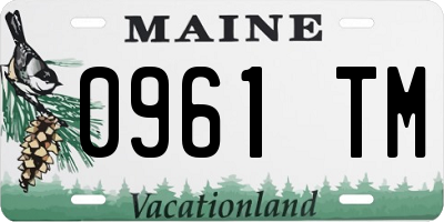 ME license plate 0961TM