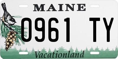 ME license plate 0961TY