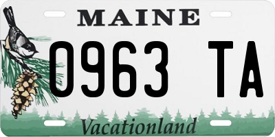 ME license plate 0963TA