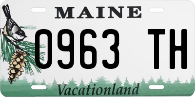 ME license plate 0963TH