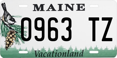 ME license plate 0963TZ