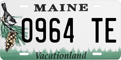 ME license plate 0964TE