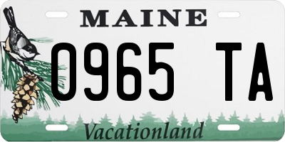 ME license plate 0965TA