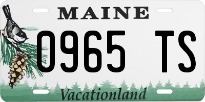 ME license plate 0965TS