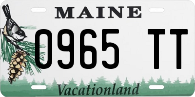 ME license plate 0965TT