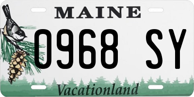 ME license plate 0968SY