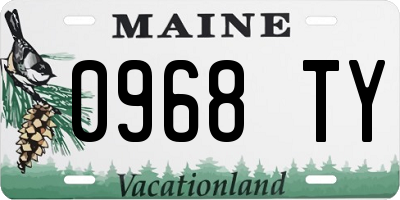 ME license plate 0968TY