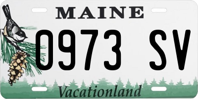 ME license plate 0973SV
