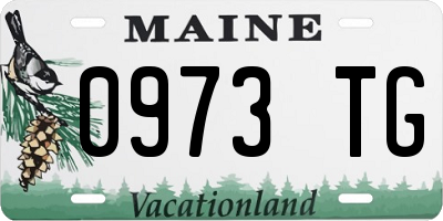 ME license plate 0973TG