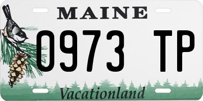 ME license plate 0973TP