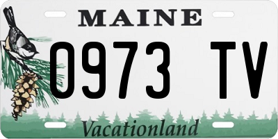 ME license plate 0973TV