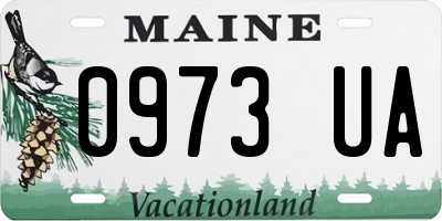 ME license plate 0973UA