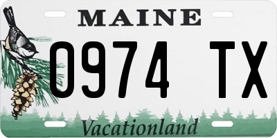 ME license plate 0974TX