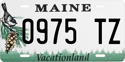 ME license plate 0975TZ