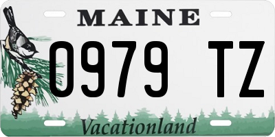 ME license plate 0979TZ
