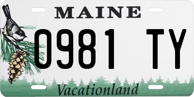 ME license plate 0981TY