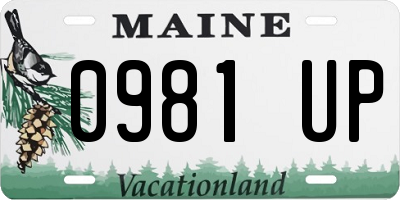 ME license plate 0981UP