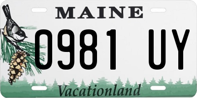 ME license plate 0981UY