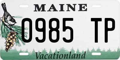 ME license plate 0985TP