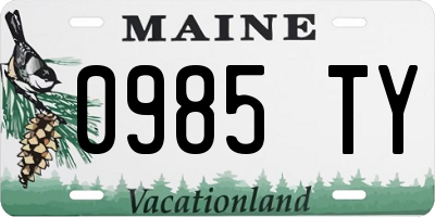 ME license plate 0985TY