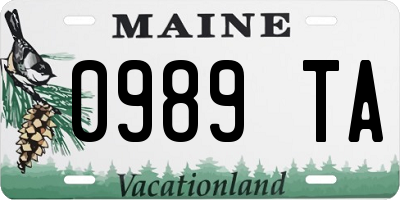 ME license plate 0989TA