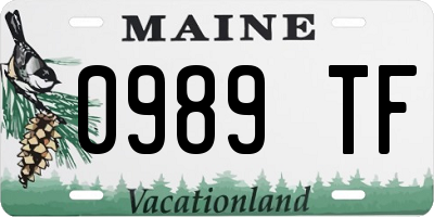 ME license plate 0989TF