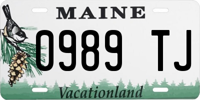 ME license plate 0989TJ