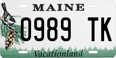 ME license plate 0989TK