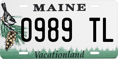 ME license plate 0989TL
