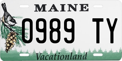 ME license plate 0989TY