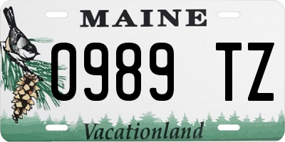 ME license plate 0989TZ