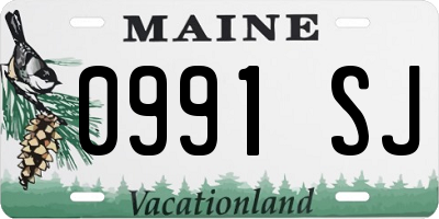 ME license plate 0991SJ