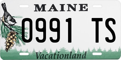 ME license plate 0991TS