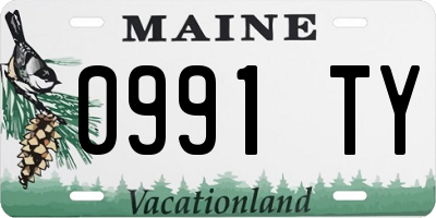 ME license plate 0991TY